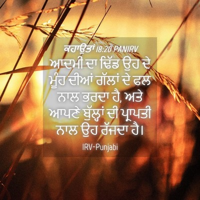 Picture 04 - ਕਹਾਉਤਾਂ 18:20 PANIRV - ਆਦਮੀ ਦਾ ਢਿੱਡ ਉਹ ਦੇ - Bible Verse Picture
