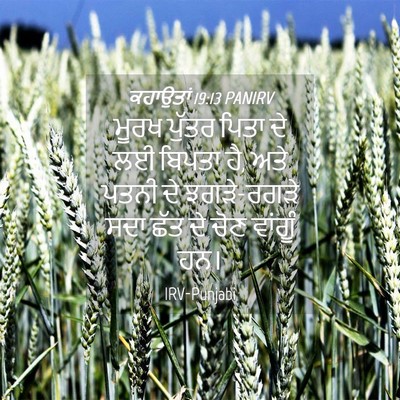 Picture 04 - ਕਹਾਉਤਾਂ 19:13 PANIRV - ਮੂਰਖ ਪੁੱਤਰ ਪਿਤਾ ਦੇ - Bible Verse Picture