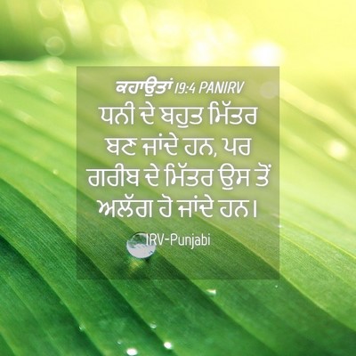 Picture 04 - ਕਹਾਉਤਾਂ 19:4 PANIRV - ਧਨੀ ਦੇ ਬਹੁਤ ਮਿੱਤਰ - Bible Verse Picture