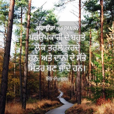 Picture 04 - ਕਹਾਉਤਾਂ 19:6 PANIRV - ਪਰਉਪਕਾਰੀ ਦੇ ਬਹੁਤੇ - Bible Verse Picture