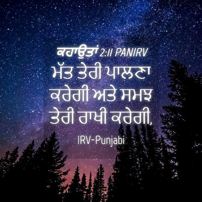 Picture 04 - ਕਹਾਉਤਾਂ 2:11 PANIRV - ਮੱਤ ਤੇਰੀ ਪਾਲਣਾ - Bible Verse Picture