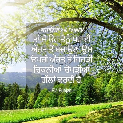 Picture 04 - ਕਹਾਉਤਾਂ 2:16 PANIRV - ਤਾਂ ਜੋ ਉਹ ਤੈਨੂੰ - Bible Verse Picture