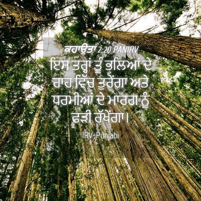 Picture 04 - ਕਹਾਉਤਾਂ 2:20 PANIRV - ਇਸ ਤਰ੍ਹਾਂ ਤੂੰ - Bible Verse Picture