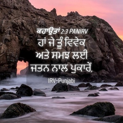 Picture 04 - ਕਹਾਉਤਾਂ 2:3 PANIRV - ਹਾਂ ਜੇ ਤੂੰ ਵਿਵੇਕ - Bible Verse Picture