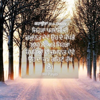 Picture 04 - ਕਹਾਉਤਾਂ 20:16 PANIRV - ਜਿਹੜਾ ਪਰਦੇਸੀ ਦੀ - Bible Verse Picture