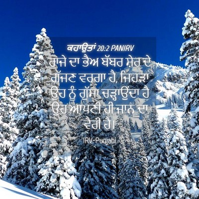Picture 04 - ਕਹਾਉਤਾਂ 20:2 PANIRV - ਰਾਜੇ ਦਾ ਭੈਅ ਬੱਬਰ - Bible Verse Picture