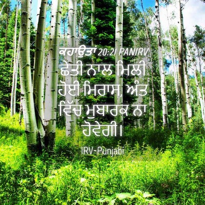 Picture 04 - ਕਹਾਉਤਾਂ 20:21 PANIRV - ਛੇਤੀ ਨਾਲ ਮਿਲੀ ਹੋਈ - Bible Verse Picture