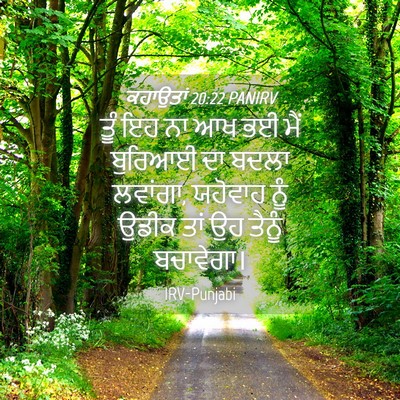 Picture 04 - ਕਹਾਉਤਾਂ 20:22 PANIRV - ਤੂੰ ਇਹ ਨਾ ਆਖ ਭਈ ਮੈਂ - Bible Verse Picture