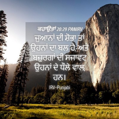 Picture 04 - ਕਹਾਉਤਾਂ 20:29 PANIRV - ਜੁਆਨਾਂ ਦੀ ਸ਼ੋਭਾ - Bible Verse Picture