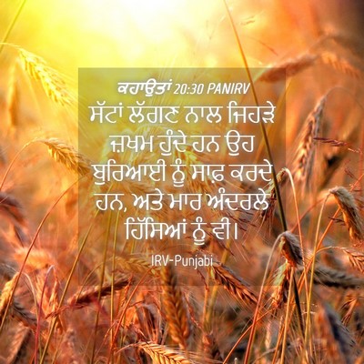 Picture 04 - ਕਹਾਉਤਾਂ 20:30 PANIRV - ਸੱਟਾਂ ਲੱਗਣ ਨਾਲ - Bible Verse Picture