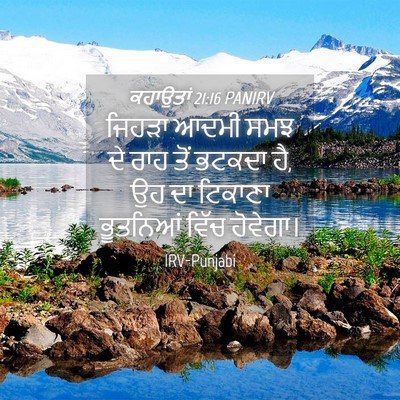 Picture 04 - ਕਹਾਉਤਾਂ 21:16 PANIRV - ਜਿਹੜਾ ਆਦਮੀ ਸਮਝ ਦੇ - Bible Verse Picture
