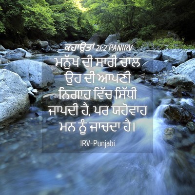 Picture 04 - ਕਹਾਉਤਾਂ 21:2 PANIRV - ਮਨੁੱਖ ਦੀ ਸਾਰੀ ਚਾਲ - Bible Verse Picture