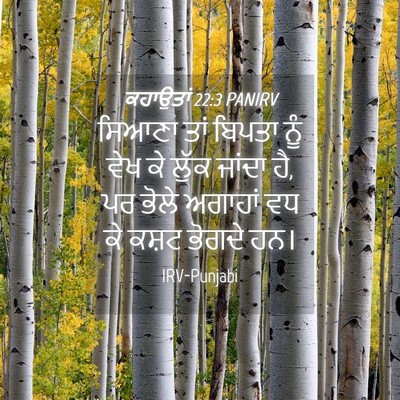 Picture 04 - ਕਹਾਉਤਾਂ 22:3 PANIRV - ਸਿਆਣਾ ਤਾਂ ਬਿਪਤਾ - Bible Verse Picture