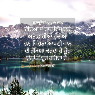 Picture 04 - ਕਹਾਉਤਾਂ 22:5 PANIRV - ਟੇਢਿਆਂ ਦੇ ਰਾਹ ਵਿੱਚ - Bible Verse Picture