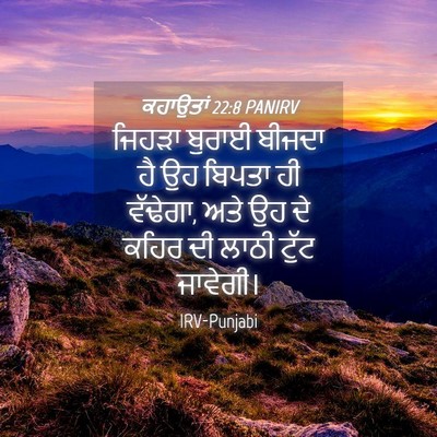 Picture 04 - ਕਹਾਉਤਾਂ 22:8 PANIRV - ਜਿਹੜਾ ਬੁਰਾਈ ਬੀਜਦਾ - Bible Verse Picture