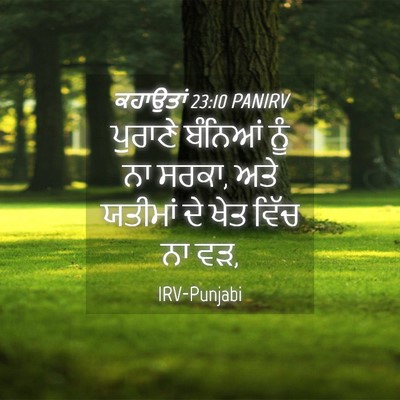 Picture 04 - ਕਹਾਉਤਾਂ 23:10 PANIRV - ਪੁਰਾਣੇ ਬੰਨਿਆਂ ਨੂੰ - Bible Verse Picture