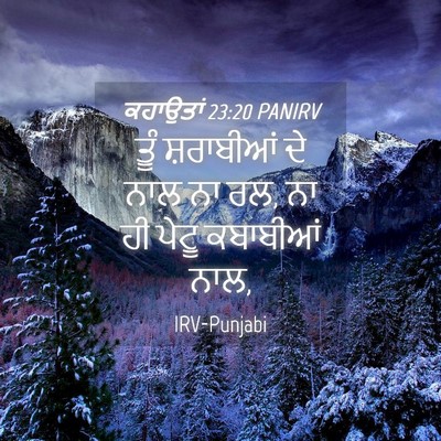 Picture 04 - ਕਹਾਉਤਾਂ 23:20 PANIRV - ਤੂੰ ਸ਼ਰਾਬੀਆਂ ਦੇ - Bible Verse Picture