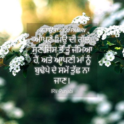 Picture 04 - ਕਹਾਉਤਾਂ 23:22 PANIRV - ਆਪਣੇ ਪਿਉ ਦੀ ਗੱਲ ਸੁਣ - Bible Verse Picture
