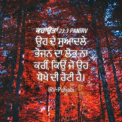 Picture 04 - ਕਹਾਉਤਾਂ 23:3 PANIRV - ਉਹ ਦੇ ਸੁਆਦਲੇ ਭੋਜਨ - Bible Verse Picture