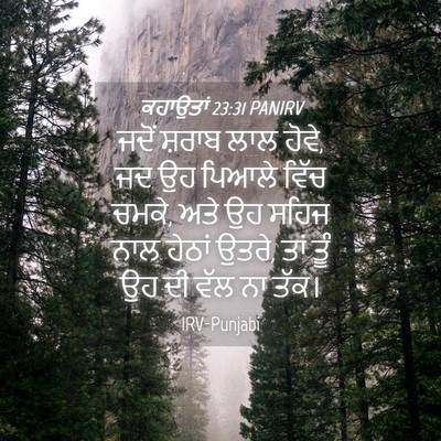 Picture 04 - ਕਹਾਉਤਾਂ 23:31 PANIRV - ਜਦੋਂ ਸ਼ਰਾਬ ਲਾਲ - Bible Verse Picture