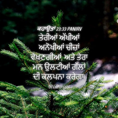 Picture 04 - ਕਹਾਉਤਾਂ 23:33 PANIRV - ਤੇਰੀਆਂ ਅੱਖੀਆਂ - Bible Verse Picture