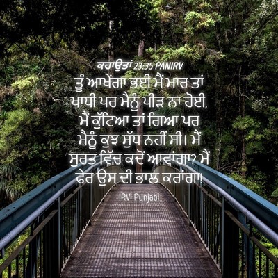 Picture 04 - ਕਹਾਉਤਾਂ 23:35 PANIRV - ਤੂੰ ਆਖੇਂਗਾ ਭਈ ਮੈਂ - Bible Verse Picture