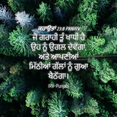 Picture 04 - ਕਹਾਉਤਾਂ 23:8 PANIRV - ਜੋ ਗਰਾਹੀ ਤੂੰ ਖਾਧੀ - Bible Verse Picture