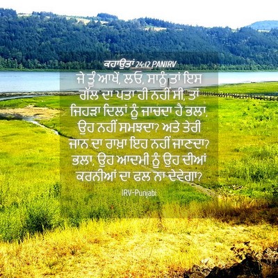 Picture 04 - ਕਹਾਉਤਾਂ 24:12 PANIRV - ਜੇ ਤੂੰ ਆਖੇਂ, ਲਓ, - Bible Verse Picture