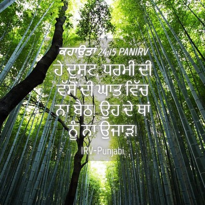Picture 04 - ਕਹਾਉਤਾਂ 24:15 PANIRV - ਹੇ ਦੁਸ਼ਟ, ਧਰਮੀ ਦੀ - Bible Verse Picture