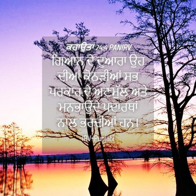 Picture 04 - ਕਹਾਉਤਾਂ 24:4 PANIRV - ਗਿਆਨ ਦੇ ਦੁਆਰਾ ਉਹ - Bible Verse Picture
