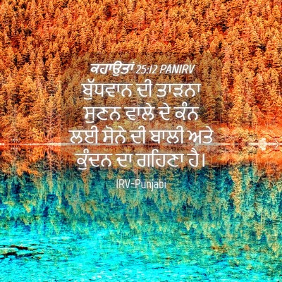 Picture 04 - ਕਹਾਉਤਾਂ 25:12 PANIRV - ਬੁੱਧਵਾਨ ਦੀ ਤਾੜਨਾ - Bible Verse Picture