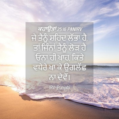 Picture 04 - ਕਹਾਉਤਾਂ 25:16 PANIRV - ਜੇ ਤੈਨੂੰ ਸ਼ਹਿਦ - Bible Verse Picture