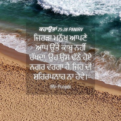 Picture 04 - ਕਹਾਉਤਾਂ 25:28 PANIRV - ਜਿਹੜਾ ਮਨੁੱਖ ਆਪਣੇ - Bible Verse Picture