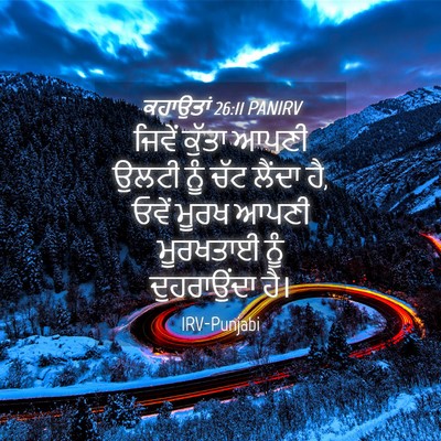 Picture 04 - ਕਹਾਉਤਾਂ 26:11 PANIRV - ਜਿਵੇਂ ਕੁੱਤਾ ਆਪਣੀ - Bible Verse Picture