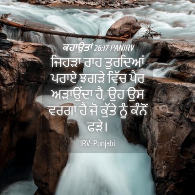 Picture 04 - ਕਹਾਉਤਾਂ 26:17 PANIRV - ਜਿਹੜਾ ਰਾਹ ਤੁਰਦਿਆਂ - Bible Verse Picture