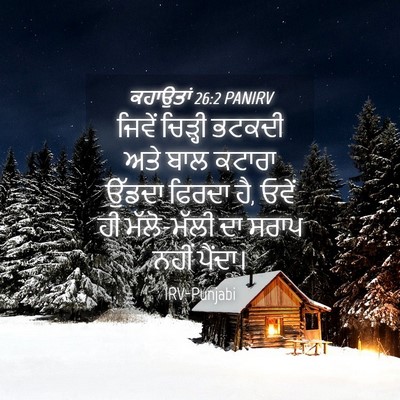 Picture 04 - ਕਹਾਉਤਾਂ 26:2 PANIRV - ਜਿਵੇਂ ਚਿੜ੍ਹੀ - Bible Verse Picture