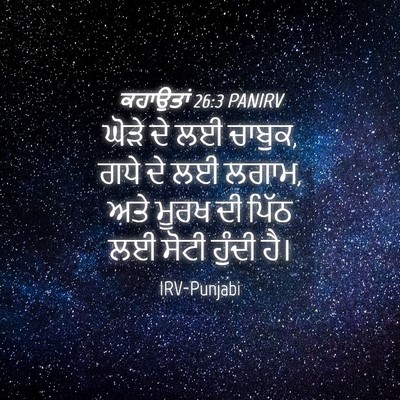 Picture 04 - ਕਹਾਉਤਾਂ 26:3 PANIRV - ਘੋੜੇ ਦੇ ਲਈ ਚਾਬੁਕ, - Bible Verse Picture
