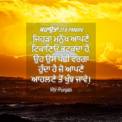 Picture 04 - ਕਹਾਉਤਾਂ 27:8 PANIRV - ਜਿਹੜਾ ਮਨੁੱਖ ਆਪਣੇ - Bible Verse Picture