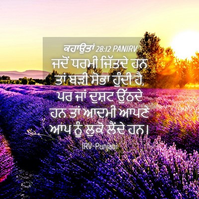 Picture 04 - ਕਹਾਉਤਾਂ 28:12 PANIRV - ਜਦੋਂ ਧਰਮੀ ਜਿੱਤਦੇ - Bible Verse Picture