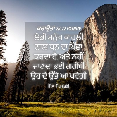 Picture 04 - ਕਹਾਉਤਾਂ 28:22 PANIRV - ਲੋਭੀ ਮਨੁੱਖ ਕਾਹਲੀ - Bible Verse Picture