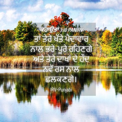 Picture 04 - ਕਹਾਉਤਾਂ 3:10 PANIRV - ਤਾਂ ਤੇਰੇ ਖੱਤੇ - Bible Verse Picture