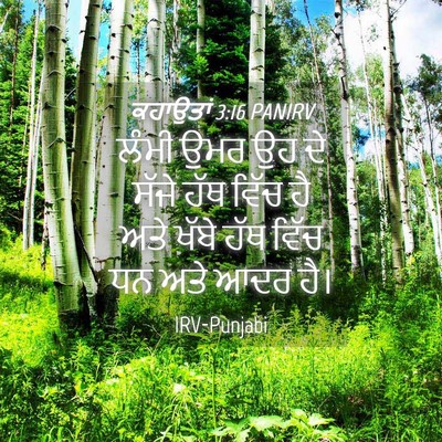 Picture 04 - ਕਹਾਉਤਾਂ 3:16 PANIRV - ਲੰਮੀ ਉਮਰ ਉਹ ਦੇ ਸੱਜੇ - Bible Verse Picture