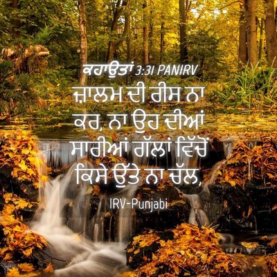 Picture 04 - ਕਹਾਉਤਾਂ 3:31 PANIRV - ਜ਼ਾਲਮ ਦੀ ਰੀਸ ਨਾ ਕਰ, - Bible Verse Picture