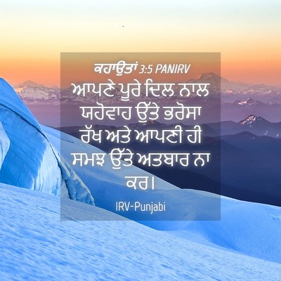 Picture 04 - ਕਹਾਉਤਾਂ 3:5 PANIRV - ਆਪਣੇ ਪੂਰੇ ਦਿਲ ਨਾਲ - Bible Verse Picture
