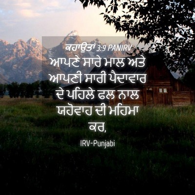 Picture 04 - ਕਹਾਉਤਾਂ 3:9 PANIRV - ਆਪਣੇ ਸਾਰੇ ਮਾਲ ਅਤੇ - Bible Verse Picture