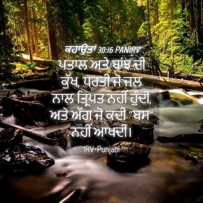 Picture 04 - ਕਹਾਉਤਾਂ 30:16 PANIRV - ਪਤਾਲ ਅਤੇ ਬਾਂਝ ਦੀ - Bible Verse Picture