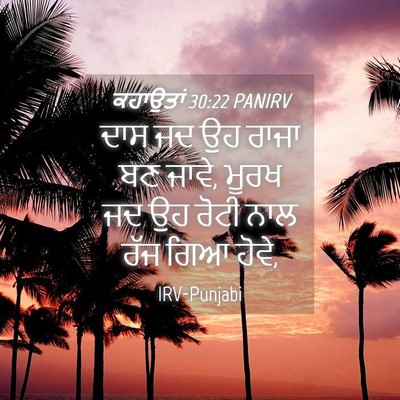 Picture 04 - ਕਹਾਉਤਾਂ 30:22 PANIRV - ਦਾਸ ਜਦ ਉਹ ਰਾਜਾ ਬਣ - Bible Verse Picture