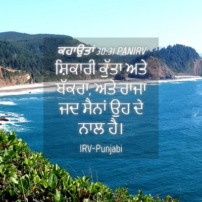Picture 04 - ਕਹਾਉਤਾਂ 30:31 PANIRV - ਸ਼ਿਕਾਰੀ ਕੁੱਤਾ ਅਤੇ - Bible Verse Picture