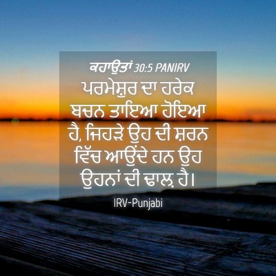 Picture 04 - ਕਹਾਉਤਾਂ 30:5 PANIRV - ਪਰਮੇਸ਼ੁਰ ਦਾ ਹਰੇਕ - Bible Verse Picture