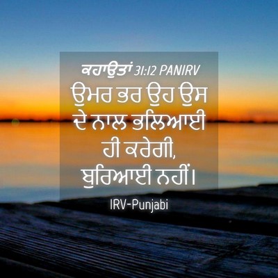 Picture 04 - ਕਹਾਉਤਾਂ 31:12 PANIRV - ਉਮਰ ਭਰ ਉਹ ਉਸ ਦੇ ਨਾਲ - Bible Verse Picture